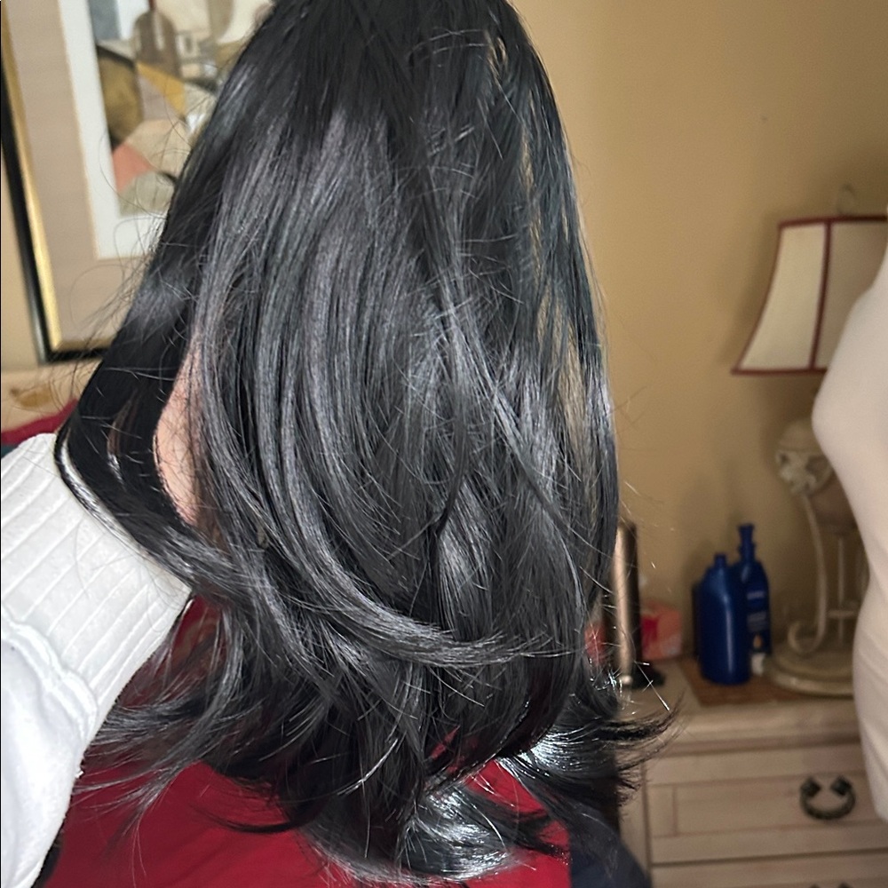 Sleek Black Women's clip Hair Wig
